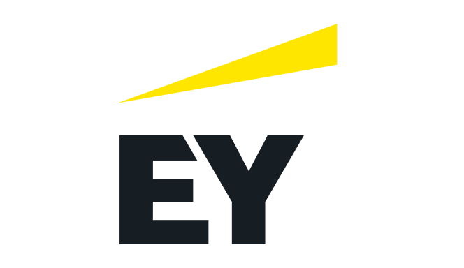 VFM Partners EY