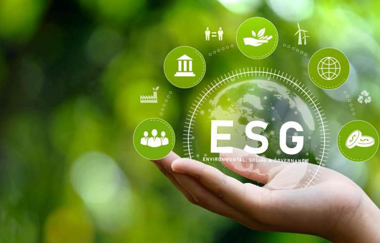 VFM-Vietnam's ESG Journey Current Status and Solutions